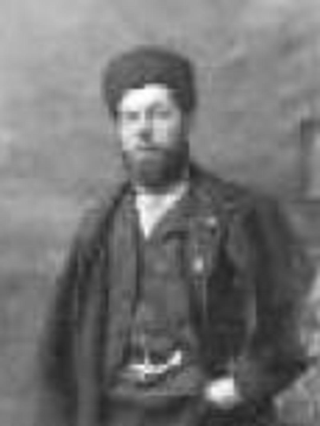 William Andrew Woolsey (1833 - 1893) Profile